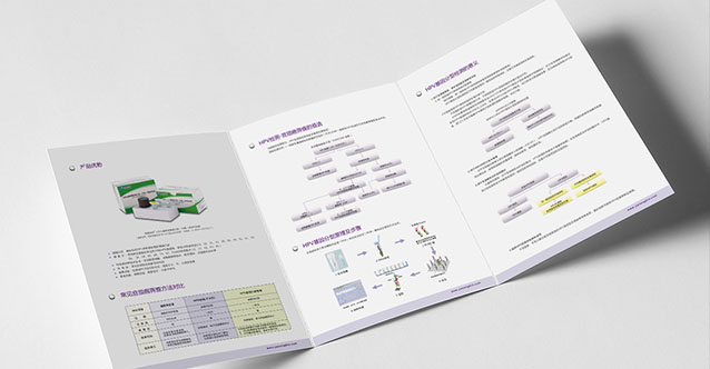 亞能生物技術(shù)（深圳）有限公司-平面展示圖