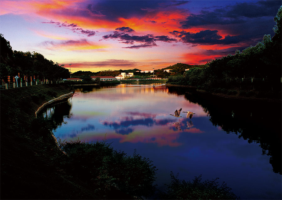 黑眼睛廣告為雁鳴湖旅游度假村宣傳推廣拍攝的風光圖片之雁鳴湖晚霞